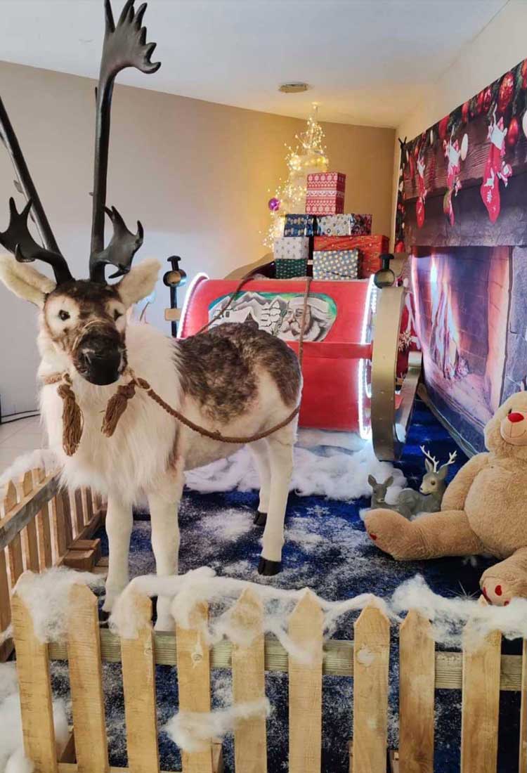 Traîneau du Père Noël pour animation et décoration de Noël